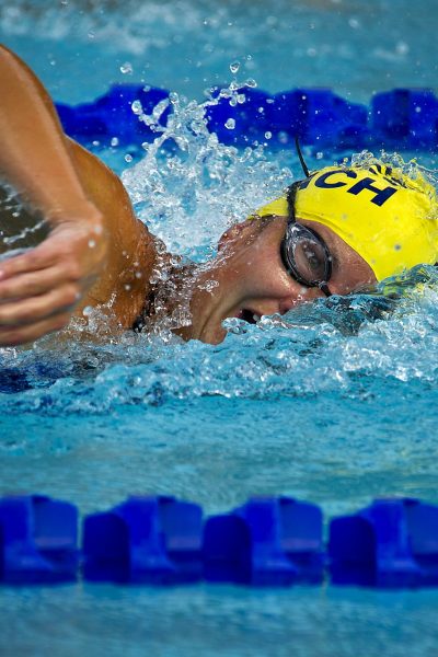 swimming-78112_1920 swimming-78112_1920